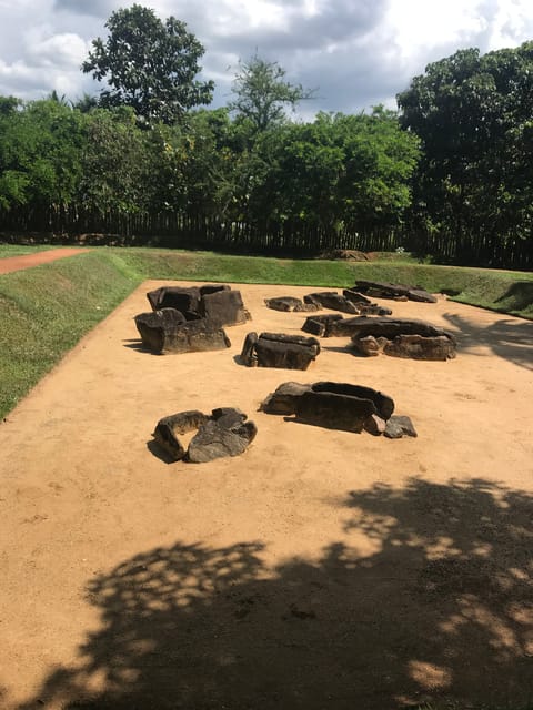 Sigiriya Lions Rock & Dambulla Golden Cave Temple Trip - Inclusions