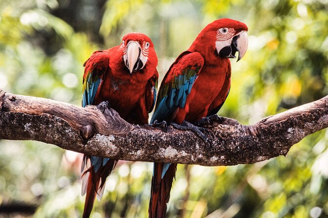 Singapore Bird Paradise & Zoo Full Day (Ticket & Transfer ) - Customer Feedback