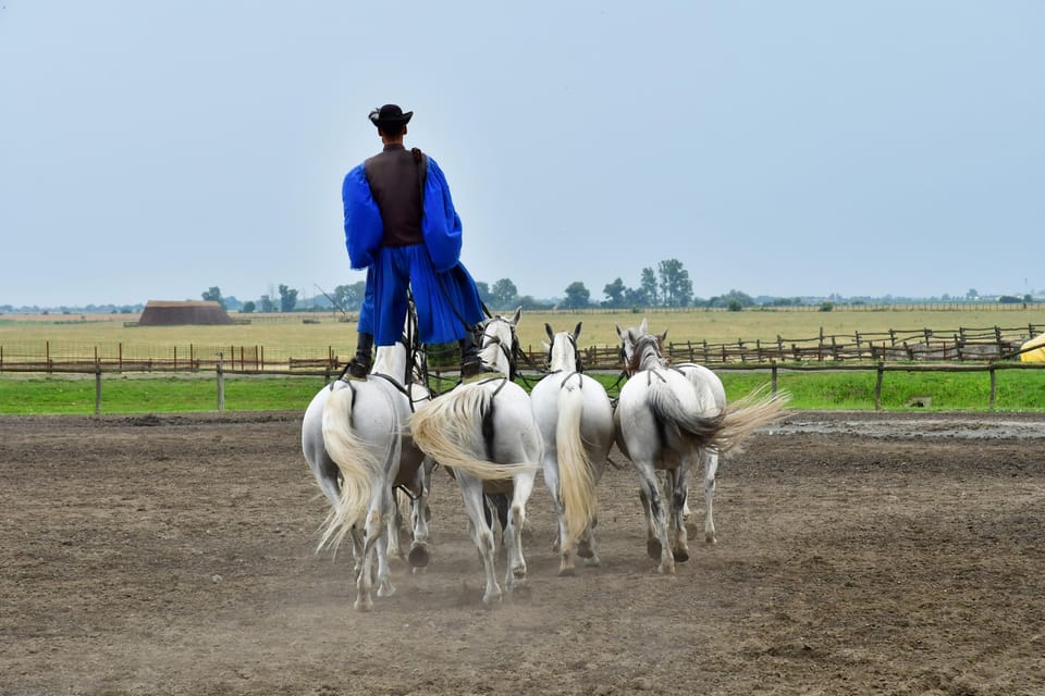 Sissy Palace Tour - Optional Hungarian Horse Show and Lunch - Optional Activities Overview