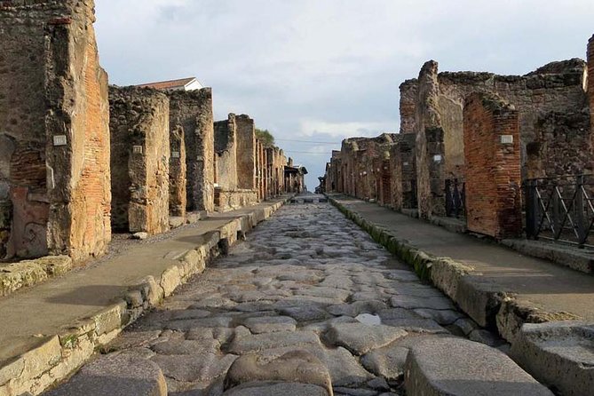 Skip the Line Private Pompeii Guided Tour - Reviews and Pricing