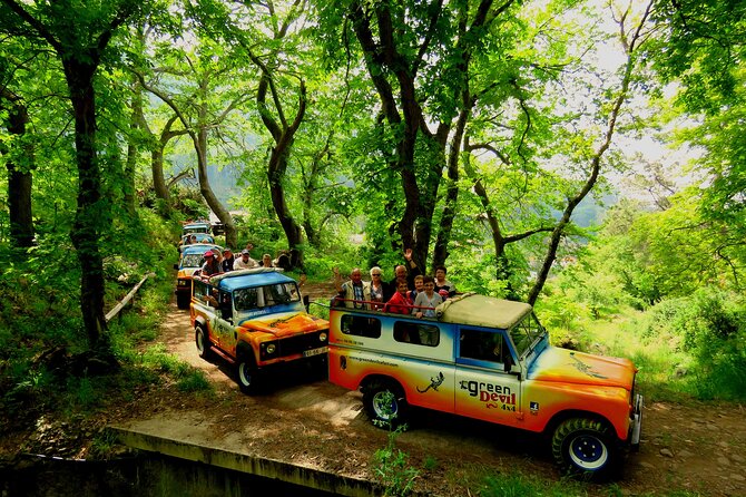 Skywalk, Vineyards, Landscapes and 4x4 Experience in Madeira - Unique Experiences