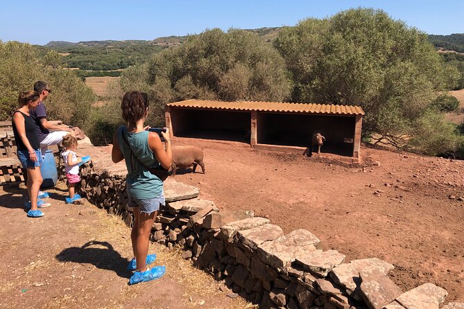 Small Group Cheese Making and Tasting From the Island of Baleares - Interacting With Farm Animals