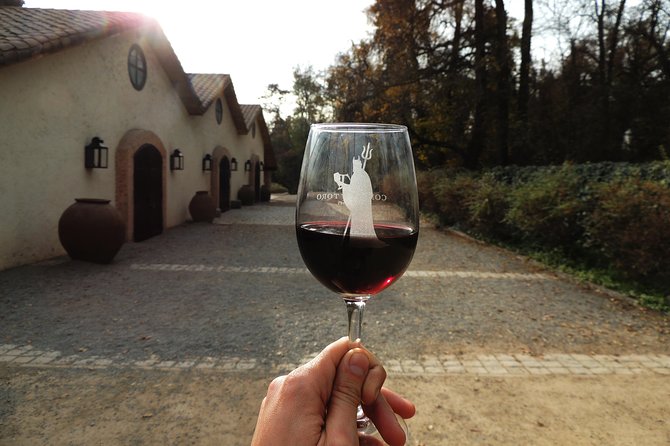 Small-Group Half Day Tour to Concha Y Toro Winery - Inclusions and Exclusions
