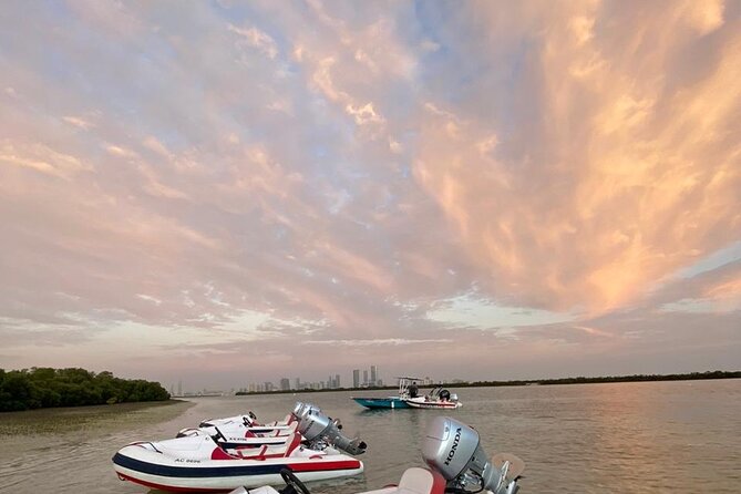 Small-Group Self-Drive Speedboat Tour in Yas Island Mangroves - Wildlife Spotting Opportunities