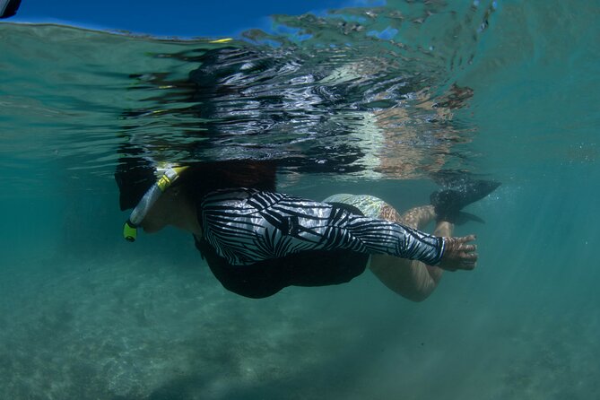 Small-Group Snorkeling Boat Trip in Guánica, Puerto Rico - Safety Briefing and Guidance