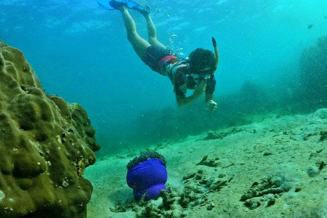 [SMALL-GROUP] SNORKELING & LUNCH - The LARGEST CORAL REEF (Max 9) - Customer Reviews