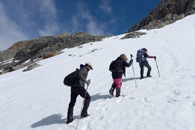 Small Group Trekking to Albino Glacier - Experience Highlights