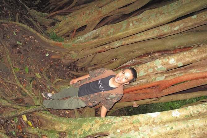 Small Group : Trekking Trip in Chiang Mai (Doi Suthep Area) With Market Tour - Tips for a Successful Trip