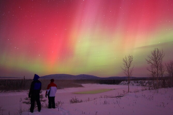 Small Group Yukon Aurora Viewing - Booking and Cancellation Policy