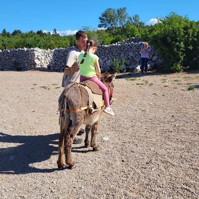 Šmrika (near Rijeka/Krk/Crikvenica) Donkey Farm Entry Ticket - Visitor Amenities and Accessibility