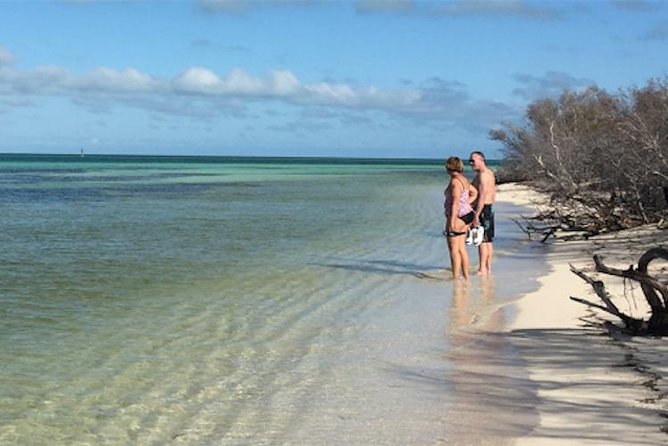 Snorkel, Sandbar & Dolphin Excursion - Inclusions and Details