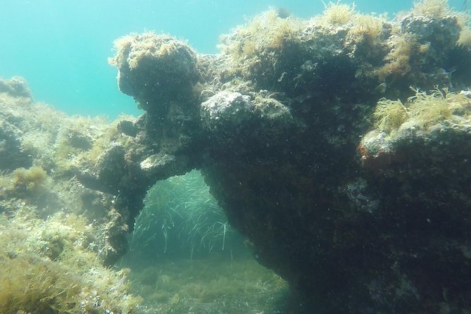 Snorkeling Among the Underwater Caves of Ischia Ponte - Accessibility and Participation Requirements