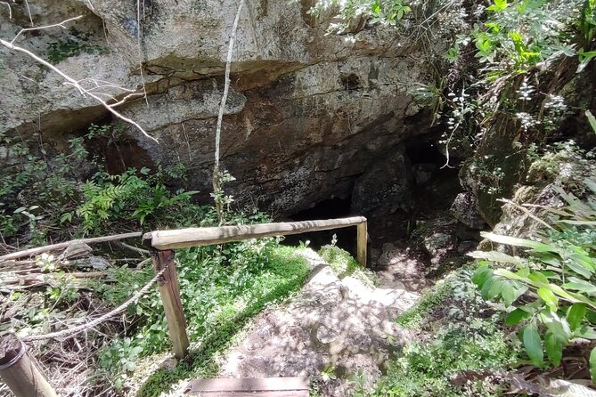 Snorkeling in the Cenotes of Bayahibe - Participation Requirements and Guidelines