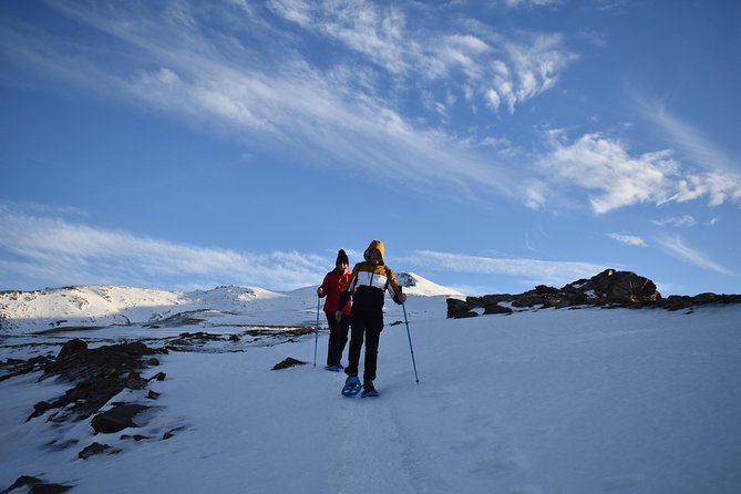 Snowshoe Hiking in Sierra Nevada (Granada) - Activity Policies