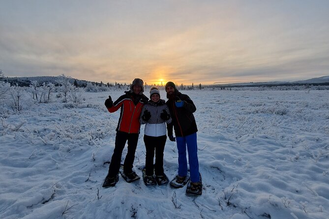 Snowshoe in a Winter Forest - Pricing and Availability