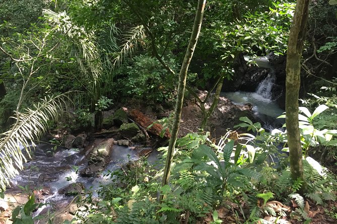 Soberania National Park Hike - Included Amenities