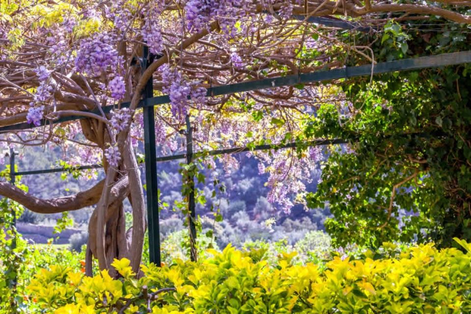 Soller: Alfabia Gardens Entrance Ticket - Visitor Guidelines