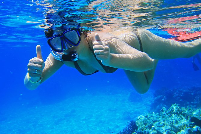 Sorkeling Trip to the White Island & Ras Mohammed - Inclusions and Pricing