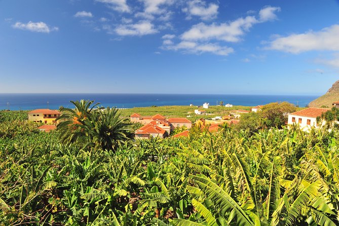 Special Cruise Tour Center and South La Palma Review - Customer Reviews and Ratings