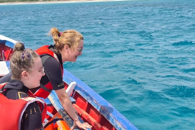 Spectacular Experience With Sea Turtles - Meeting and Pickup Information