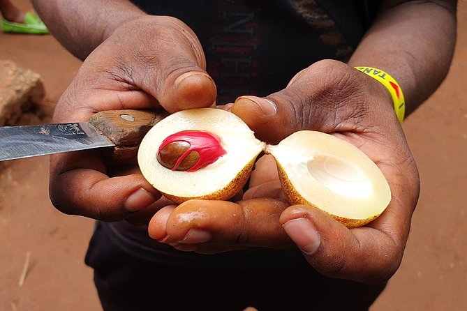Spice Tour & Cooking Class in Zanzibar - Inclusions and What to Expect