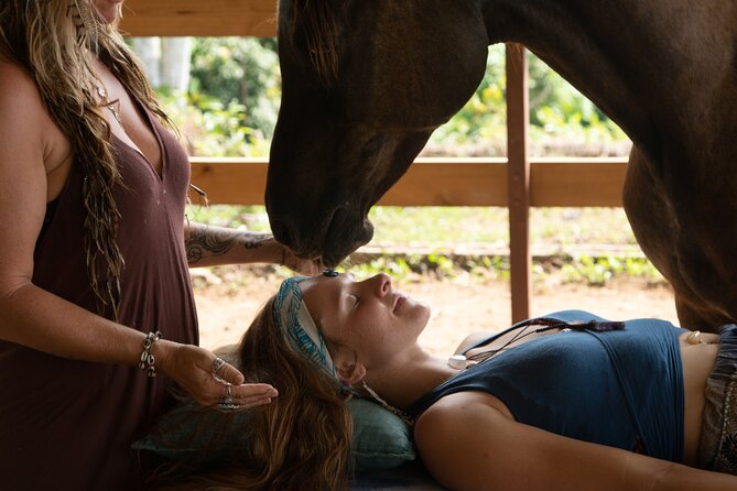Spirit of the Horse Unique Experiences With Horses - Final Verdict On This Stay