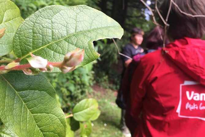 Spoken Treasures: Stanley Park Indigenous Walking Tour - Positive Traveler Reviews