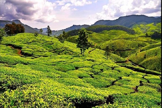 Sreemangal Tour! Sylhet, Bangladesh - Important Tour Details and Accessibility