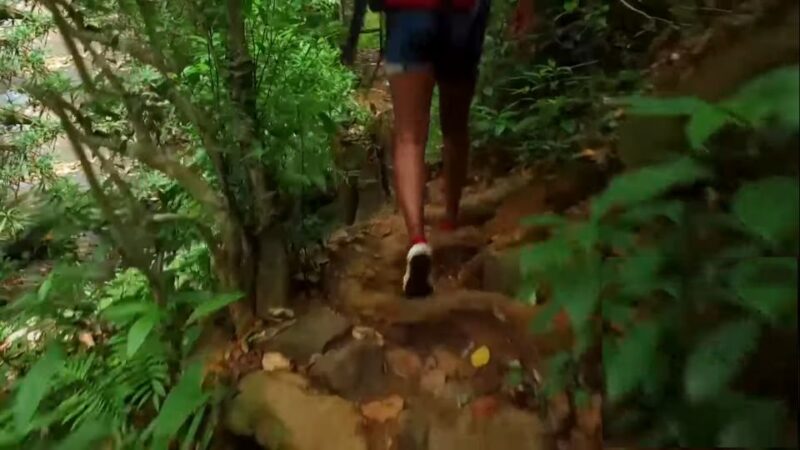 Sri Lanka 2-Day National Parks Trip - Wildlife and Ecological Significance