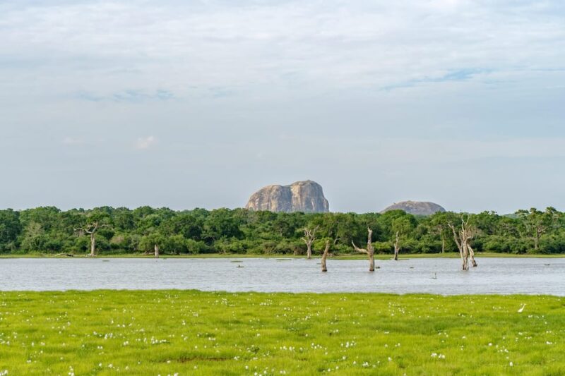 Sri Lanka 3-Day Tour, History, Nature, Culture, Adventure - Not Suitable For