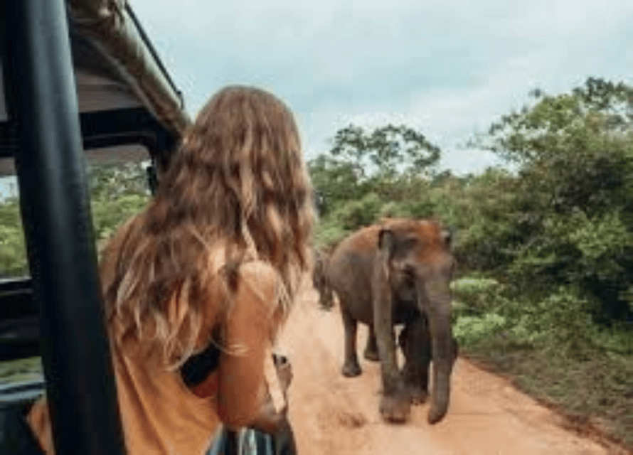 Sri Lanka E-Travels and Tours : Reliable Transport Solution - Sightseeing Itinerary