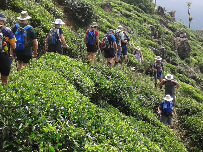 Sri Lanka Holidays With 5 Days Trekking the Pekoe Trail - Excluded Services