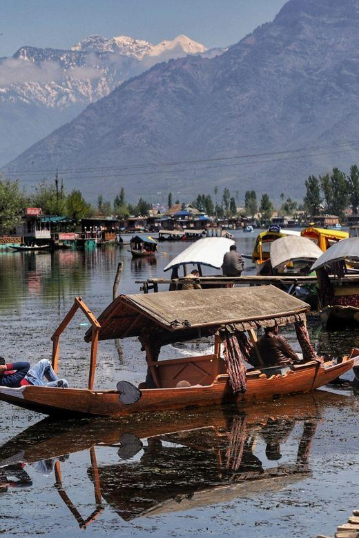 Srinagar: Private Day Tour With Shikara Ride at Dal Lake - Transportation and Language