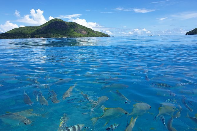 St Anne Marine Park & Moyenne Island, Creole Lunch (Private Boat) - Tour Details and Pricing