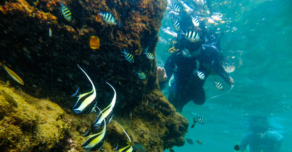 St. Lucia: Cape Vidal Snorkeling Adventure - Whats Included and Required