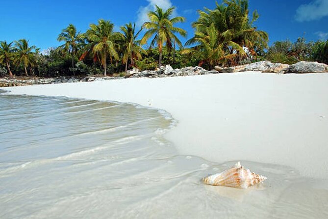 St Maarten Shore Excursion:Sights, Shopping & Sand Small Group Tour - Departure and Return