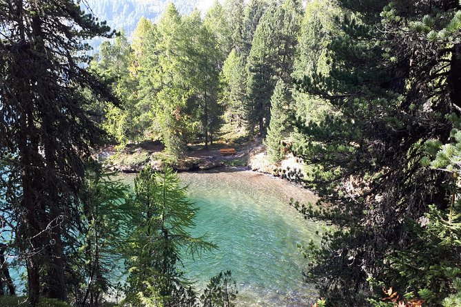 St Moritz Private Guided Panorama Hike - Pricing and Reviews