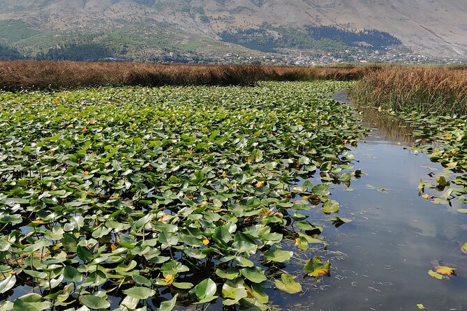 Stand Up Paddle Board or Kayak Rental in Shkodër - Booking and Confirmation
