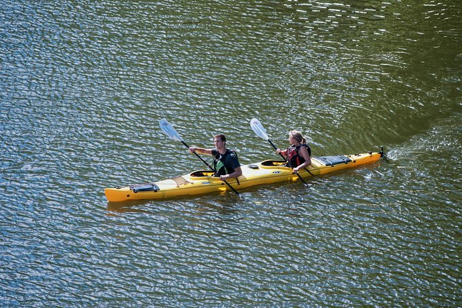 Stockholm City Evening Kayak Tour - Picnic Stop