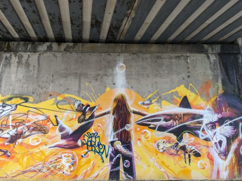 Strasbourg: Street-Art Tour - Customer Reviews