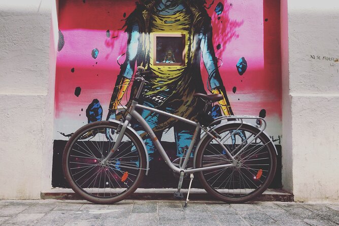STREET ART Private Guided Tour on Bike, E-Bike, E-Step or Segway - Booking Information