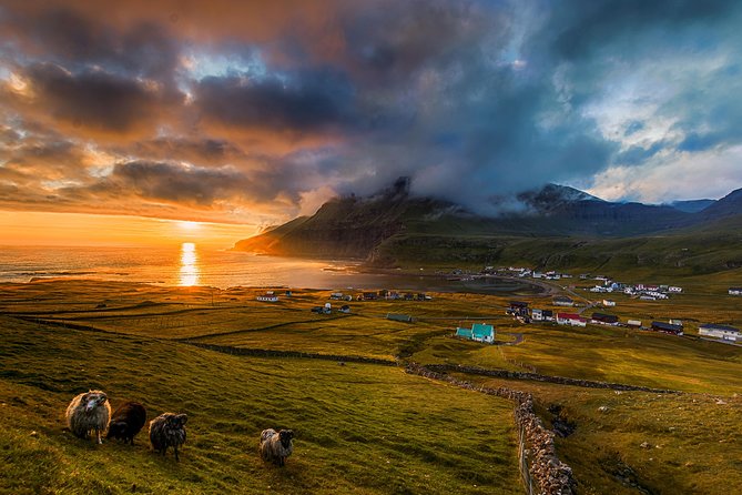 Súðuroy Island Day Tour, Faroe Islands - Pricing and Inclusions