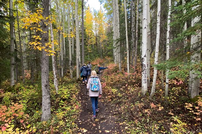 Summer Valley and Forest Hike - Reviews and Traveler Feedback