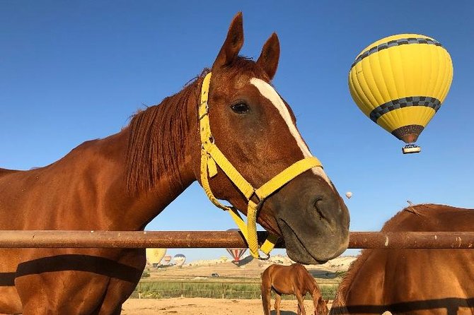 Sunrise Horseback Riding Tour in Cappadocia Review - Overall Experience