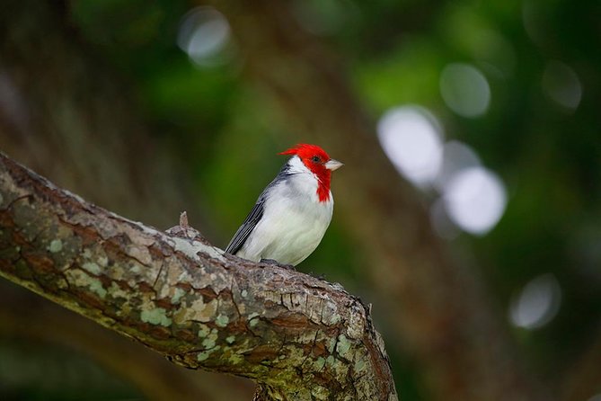 Sunrise Plus Island Tour - Guest Reviews and Experiences