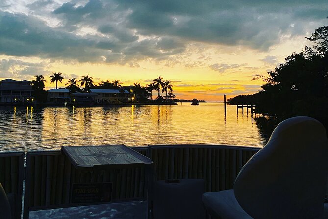 Sunset and Dolphin Cruise Around Fort Myers Beach - Personalized Experience With a Captain