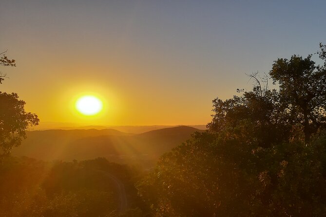 Sunset Safari 4H - Customer Feedback