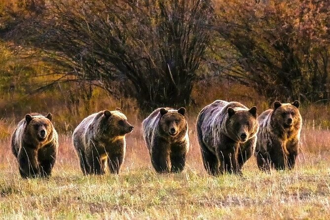 Sunset Tour of Grand Teton National Park - Capturing Natures Beauty at Sunset