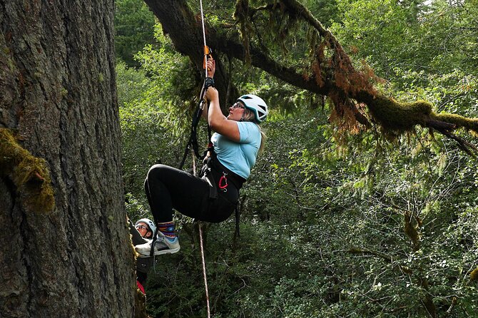 Sunset Tree Climb at Silver Falls State Park - Accessibility and Special Considerations