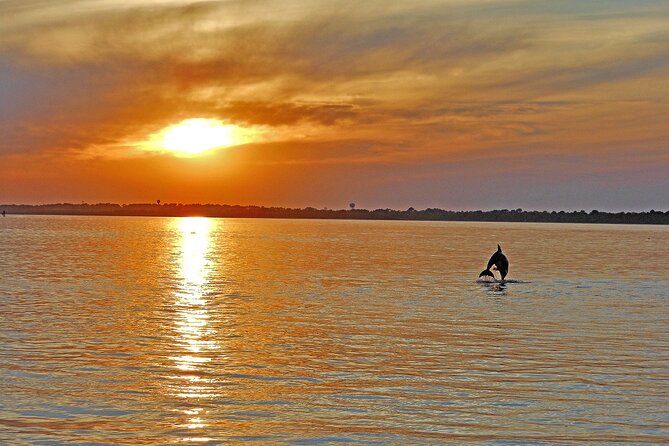 Sunset Wildlife Cruise Along Assateague & Chincoteague Island - Overview of the Sunset Wildlife Cruise